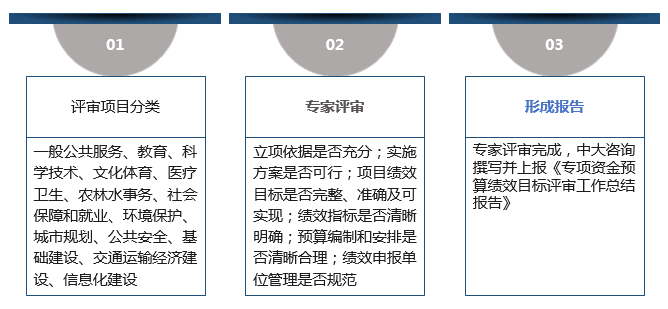 項目預(yù)算評審